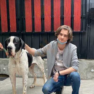 คาเฟ่หมาใหญ่ใจดี