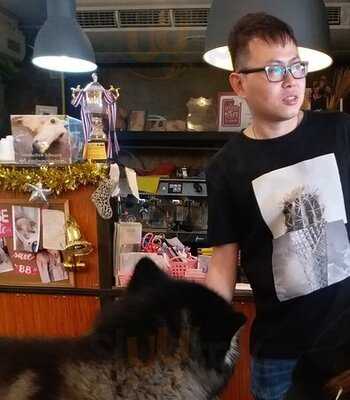 คาเฟ่หมาใหญ่ใจดี