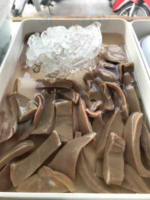 อำพรต้มเลือดหมู