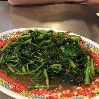 แสงชัยโภชนา