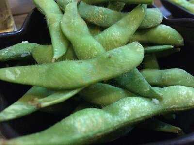 Japanese Restaurant Uma