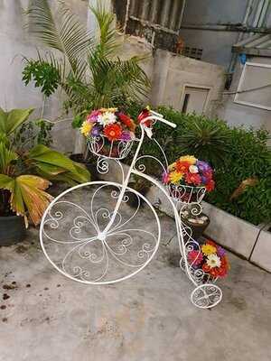 แจ็ค ไดมอนด์