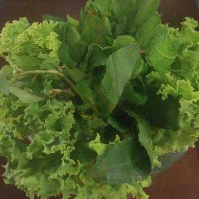 ร้านอาหาร อีทเวียด