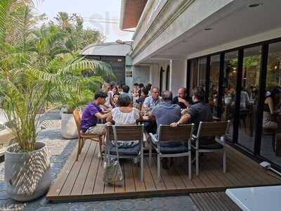 ฮันนี้ แบร์ บริสโทร