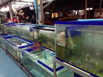 เบียร์หิมะ ซีฟู้ด