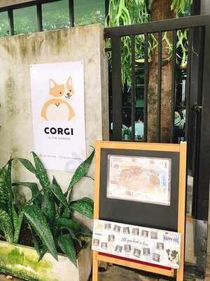 คาเฟ่หมาคอร์กี้