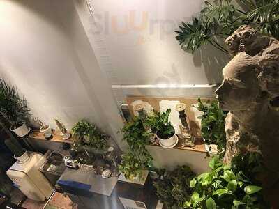 Magic Everyday Coffee & Bar