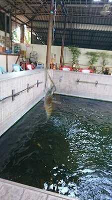 เอบิโนะ ซึริโบริ