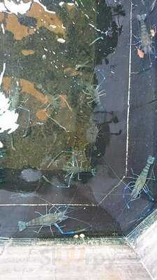 เอบิโนะ ซึริโบริ