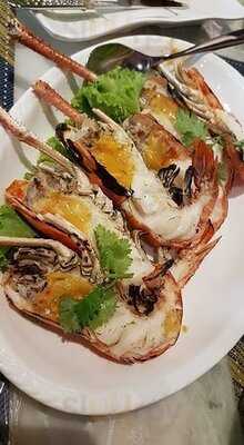 ลูกไก่ทอง