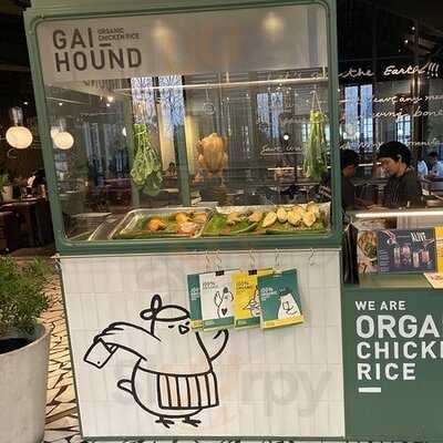 Greyhound Cafe (the Promenade)