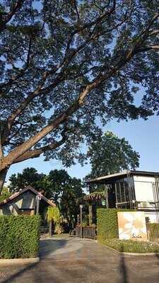 ร้านอาหารสวนสิริน