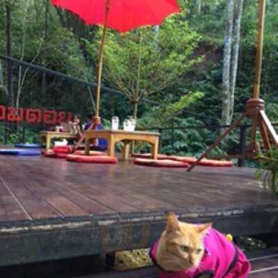 ร้านกาแฟฮ่อมดอย & อาร์ต แกลเลอรี่