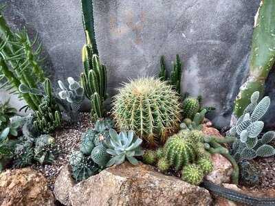 Once Cafe And Hostel