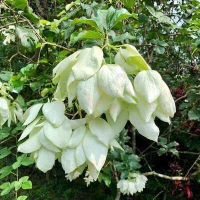 ร้านอาหารดุสิตาและจุดดื่มกาแฟ