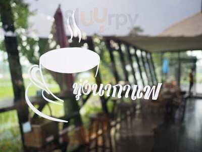 ทุ่งนากาแฟ