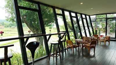 ทุ่งนากาแฟ