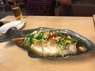 มาร์ติน คิทเช่น