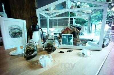 26 เบด แอน คอฟฟี่