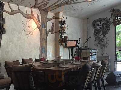 24 Owls By Sometimes