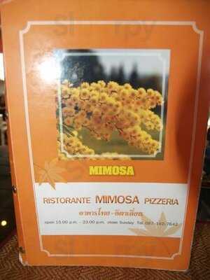 Ristorante Mimosa Pizzeria