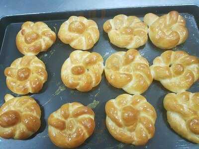 Holland Tulip Bakery