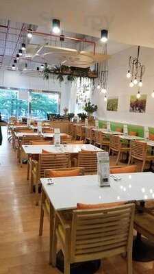 เดรสด์ - เอ็กเชน ทาวเวอร์