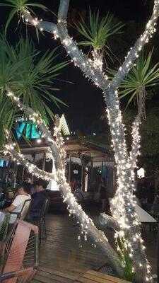 ฟังกี้วิลล่า