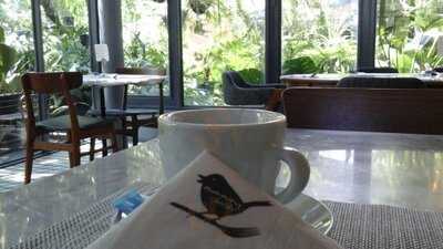 Humming Birds Kitchen And Garden