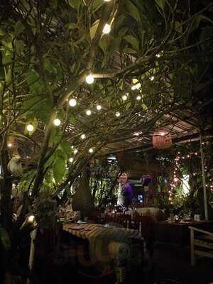 บาอิค บาอิค