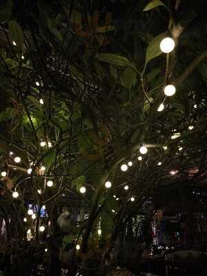 บาอิค บาอิค