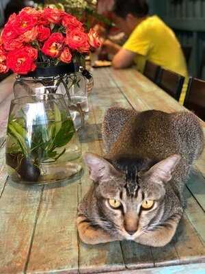 แมงโก เวเจทาเรียน & วีเเกน เรสเตอรองท์ แอนด์ อาร์ทส์ เเกลลอรี่