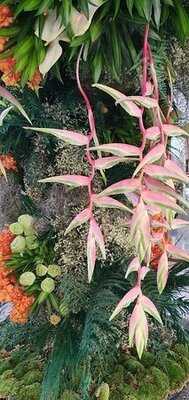 เดอะ ไชน่า เฮ้าส์