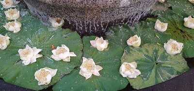 เดอะ ไชน่า เฮ้าส์