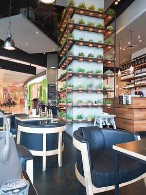 เดอะ คอฟฟี่ คลับ