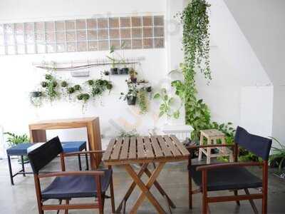 ทีลิลี่ คาเฟ่