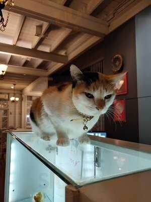 เฟื่องนรา