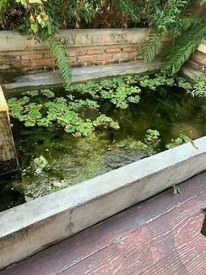 วีวี่เดอะคอฟฟี่เพลส