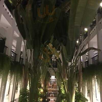 Chon Thai Restaurant