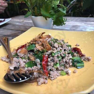 Madame Musur Samsen 2