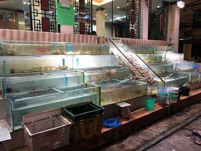 กวงทะเลเผา รัชดาภิเษก 10