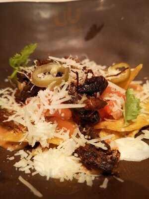 Insects In The Backyard