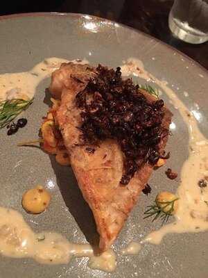 Insects In The Backyard