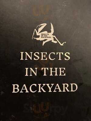 Insects In The Backyard