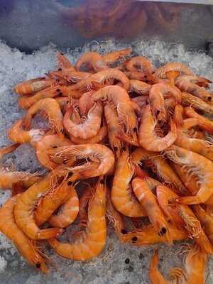 เรือเจ้าพระยาปริ๊นเซส (เรือรอยัลเจ้าพระยาปริ๊นเซส)