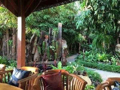 The Tree Gallery And Bistro