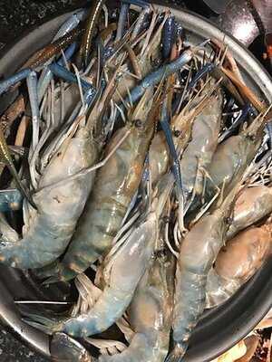 King Kong Yakiniku Buffet