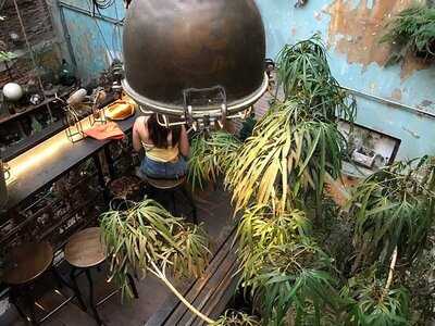 Nana Coffee Roasters