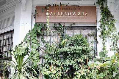 Nana Coffee Roasters