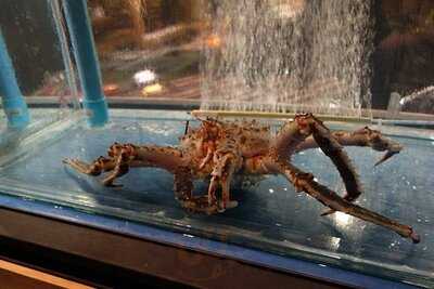 Hokkaido Genshiyaki Ekkamai